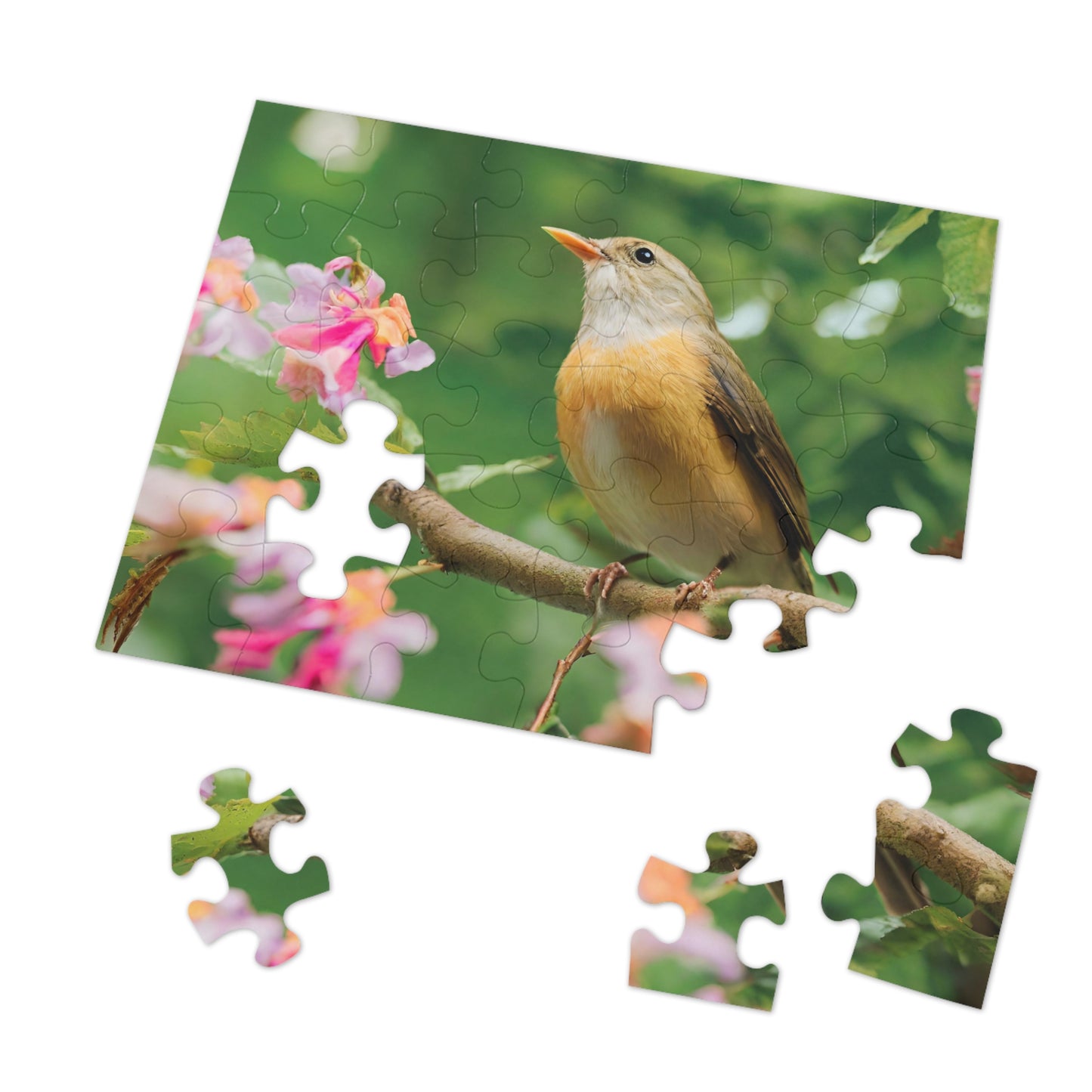 BRAIN GUARD Jigsaw Puzzle For Seniors (30, 110-Piece)