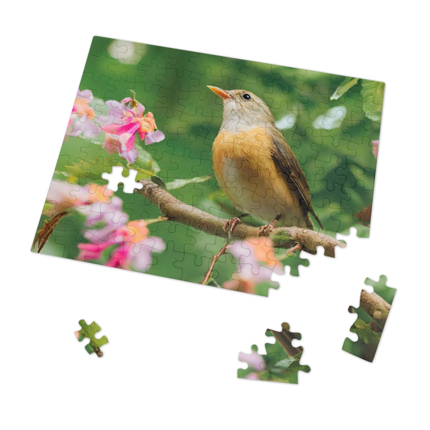 BRAIN GUARD Jigsaw Puzzle For Seniors (30, 110-Piece)