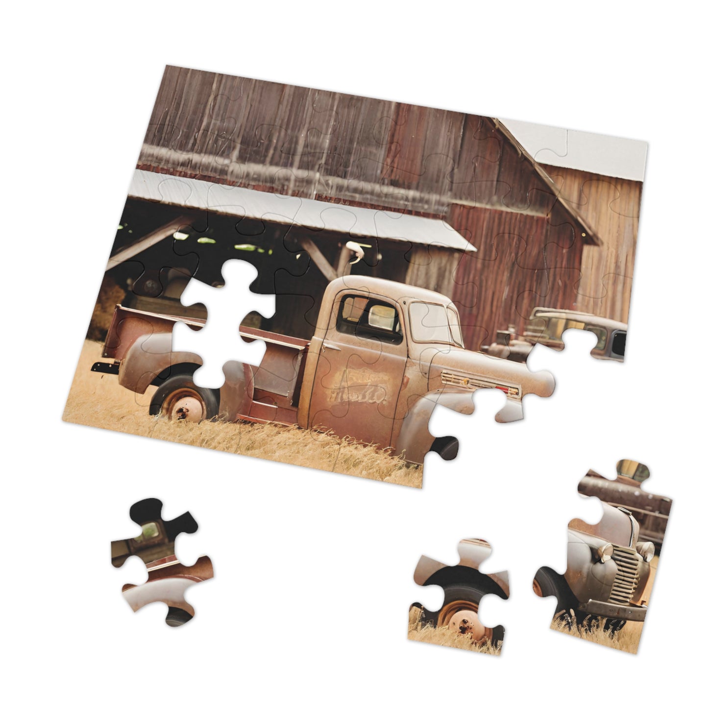 BRAIN GUARD Jigsaw Puzzle For Seniors (30, 110-Piece)