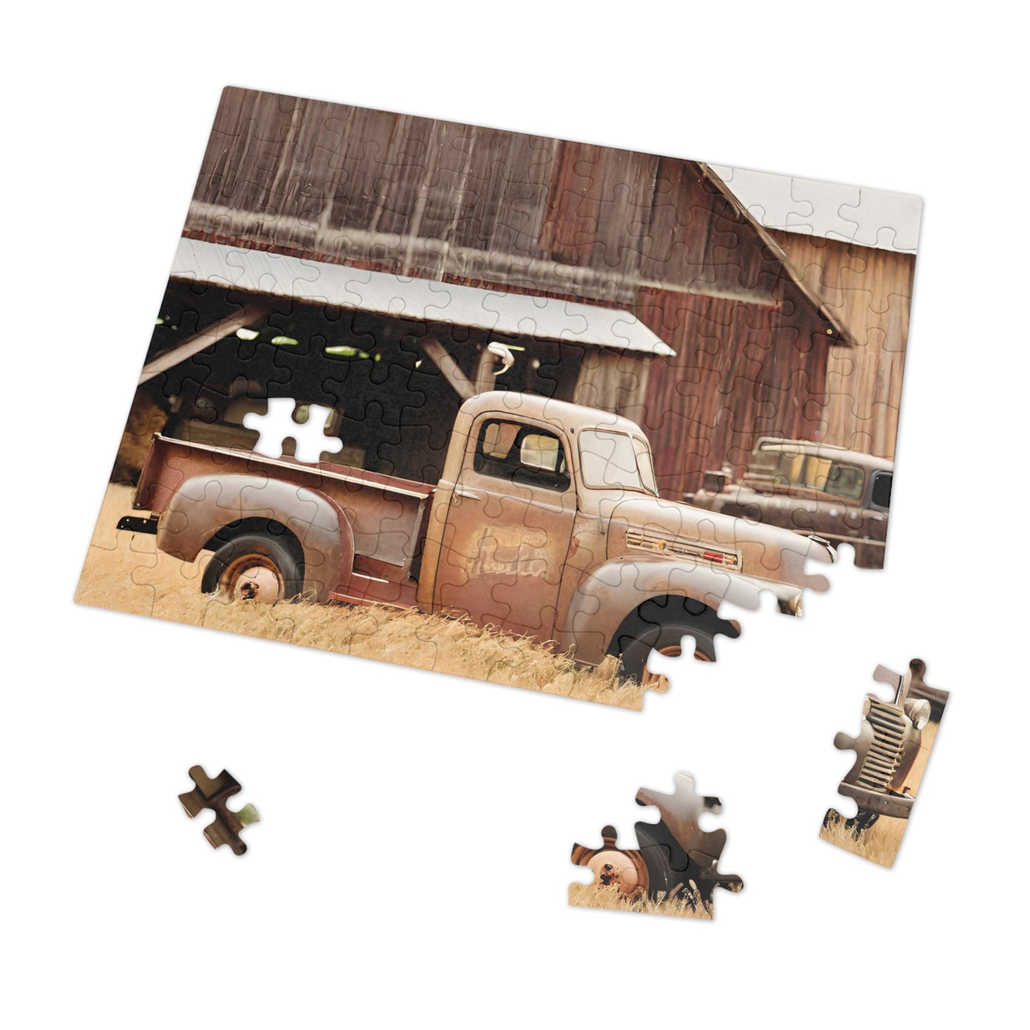 BRAIN GUARD Jigsaw Puzzle For Seniors (30, 110-Piece)