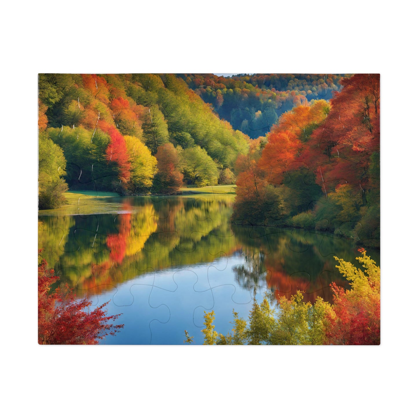 BRAIN GUARD Jigsaw Puzzle for Seniors (30, 110-Piece)